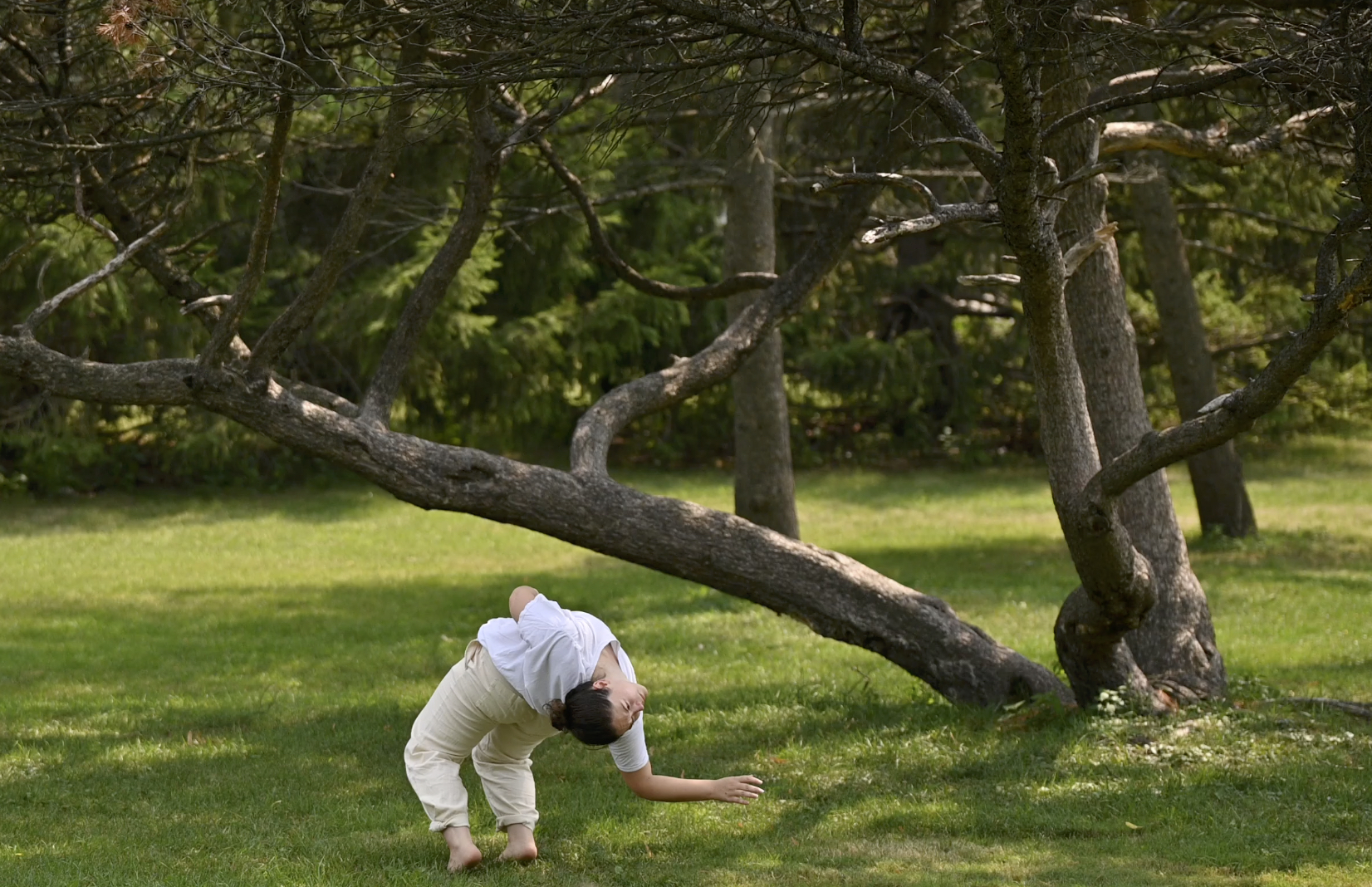 eMartin Dance Homepage 2